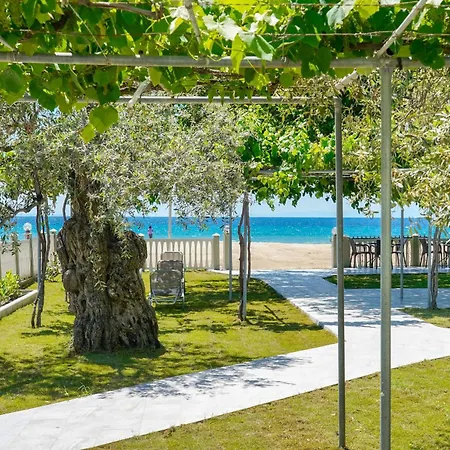 Olivento Front 3* Ποτός