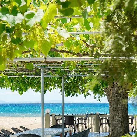 Olivento Front 3* Ποτός