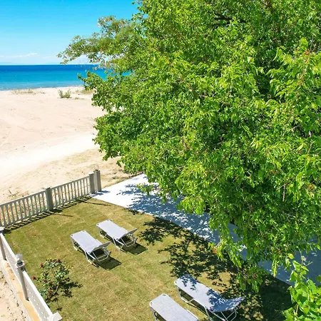 Olivento Front ポトス