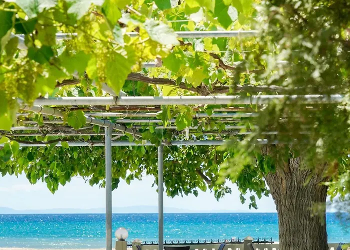 Olivento Front 3* Potos